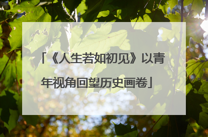 《人生若如初见》以青年视角回望历史画卷