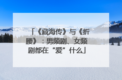 《藏海传》与《折腰》：男频剧、女频剧都在“爱”什么