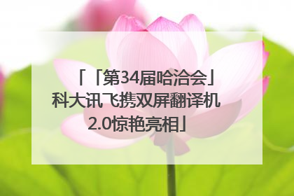 「第34届哈洽会」科大讯飞携双屏翻译机2.0惊艳亮相