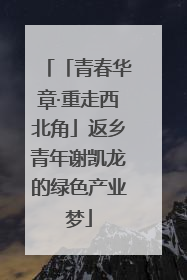 「青春华章·重走西北角」返乡青年谢凯龙的绿色产业梦