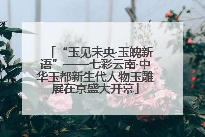 “玉见未央·玉魄新语”——七彩云南·中华玉都新生代人物玉雕展在京盛大开幕