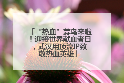 “热血”蒜鸟来啦！迎接世界献血者日，武汉用顶流IP致敬热血英雄