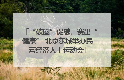 “破圈”促融、赛出“健康” 北京东城举办民营经济人士运动会