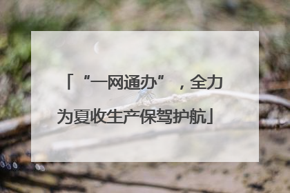 “一网通办”，全力为夏收生产保驾护航