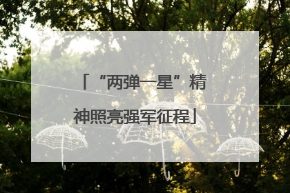 “两弹一星”精神照亮强军征程