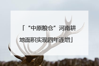 “中原粮仓”河南耕地面积实现四年连增