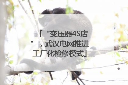 “变压器4S店”，武汉电网推进工厂化检修模式
