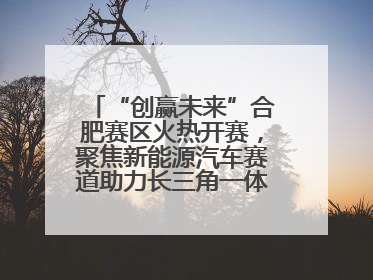 “创赢未来”合肥赛区火热开赛，聚焦新能源汽车赛道助力长三角一体化发展