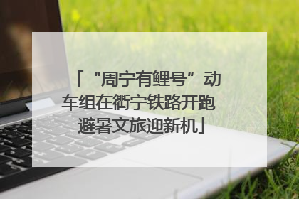 “周宁有鲤号”动车组在衢宁铁路开跑 避暑文旅迎新机