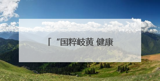 “国粹岐黄 健康铁岭”辽宁省第二届中医药文化夜市（铁岭站）启动