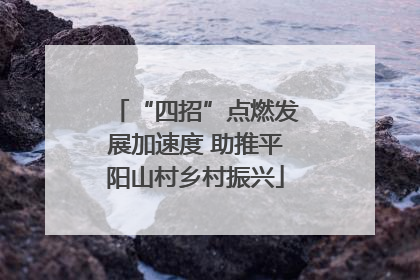 “四招”点燃发展加速度 助推平阳山村乡村振兴