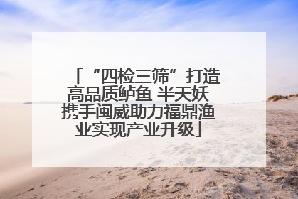 “四检三筛”打造高品质鲈鱼 半天妖携手闽威助力福鼎渔业实现产业升级