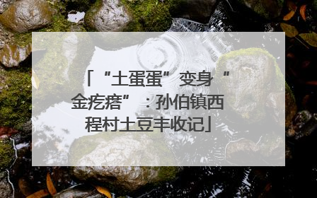 “土蛋蛋”变身“金疙瘩”：孙伯镇西程村土豆丰收记