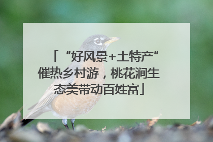 “好风景+土特产”催热乡村游，桃花涧生态美带动百姓富