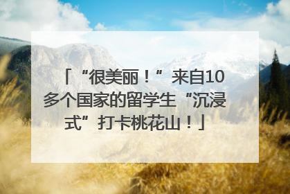 “很美丽！”来自10多个国家的留学生“沉浸式”打卡桃花山！