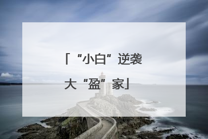 “小白”逆袭大“盈”家