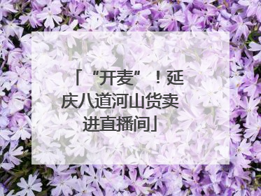 “开麦”！延庆八道河山货卖进直播间