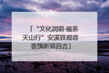 “文化润疆·福茶天山行”安溪铁观音香飘新疆昌吉