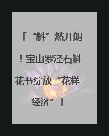“斛”然开朗！宝山罗泾石斛花节绽放“花样经济”