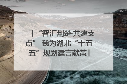 “智汇荆楚·共建支点” 我为湖北“十五五”规划建言献策