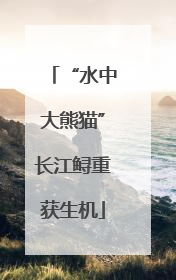 “水中大熊猫”长江鲟重获生机