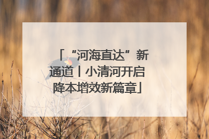 “河海直达”新通道丨小清河开启降本增效新篇章