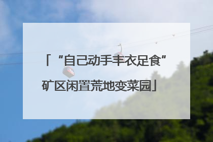 “自己动手丰衣足食”矿区闲置荒地变菜园