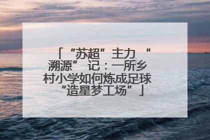 “苏超”主力 “溯源” 记：一所乡村小学如何炼成足球 “造星梦工场”