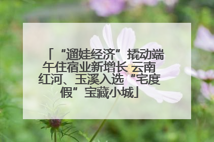 “遛娃经济”撬动端午住宿业新增长 云南红河、玉溪入选“宅度假”宝藏小城