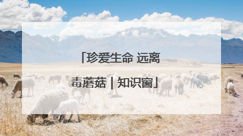 珍爱生命 远离毒蘑菇｜知识窗