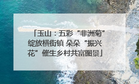玉山：五彩“非洲菊”绽放横街镇 朵朵“振兴花”催生乡村共富图景