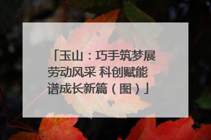 玉山：巧手筑梦展劳动风采 科创赋能谱成长新篇（图）