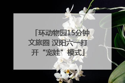 环动物园15分钟文旅圈 汉阳六一打开“宠娃”模式