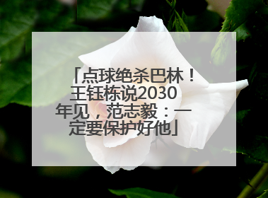 点球绝杀巴林！王钰栋说2030年见，范志毅：一定要保护好他