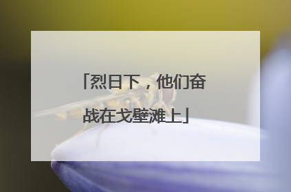 烈日下，他们奋战在戈壁滩上