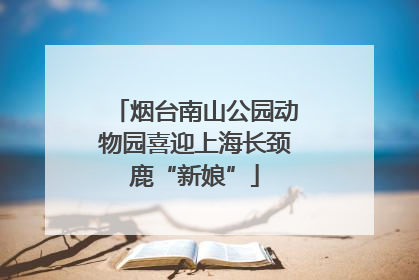 烟台南山公园动物园喜迎上海长颈鹿“新娘”