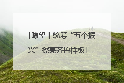 瞭望丨统筹“五个振兴”擦亮齐鲁样板