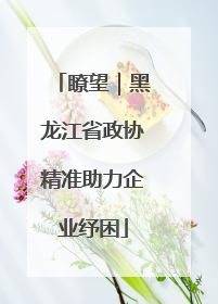 瞭望｜黑龙江省政协精准助力企业纾困