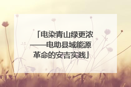 电染青山绿更浓——电助县域能源革命的安吉实践