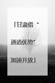 甘肃借“通道优势”加速开放