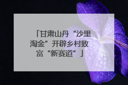 甘肃山丹“沙里淘金”开辟乡村致富“新赛道”