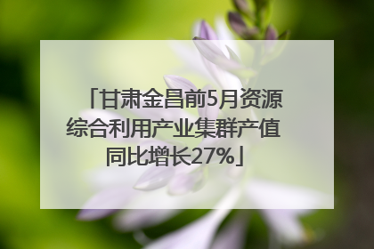 甘肃金昌前5月资源综合利用产业集群产值同比增长27%