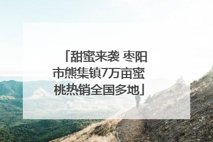 甜蜜来袭 枣阳市熊集镇7万亩蜜桃热销全国多地