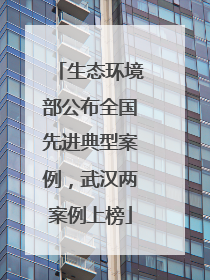 生态环境部公布全国先进典型案例，武汉两案例上榜