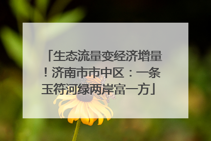 生态流量变经济增量！济南市市中区：一条玉符河绿两岸富一方