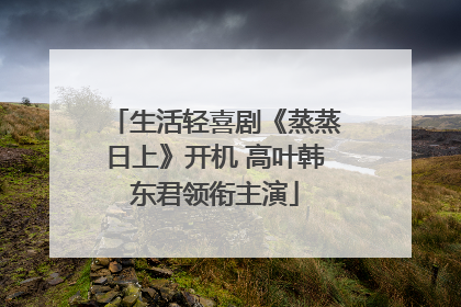 生活轻喜剧《蒸蒸日上》开机 高叶韩东君领衔主演