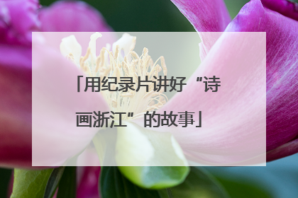 用纪录片讲好“诗画浙江”的故事