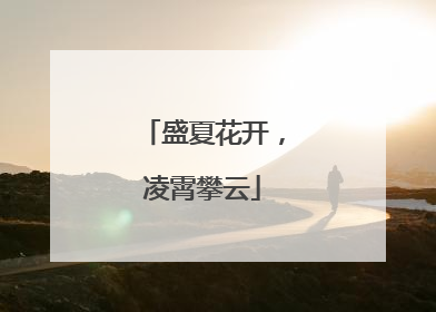 盛夏花开，凌霄攀云