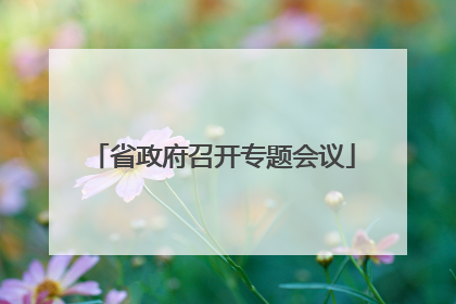 省政府召开专题会议