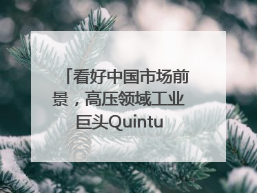 看好中国市场前景，高压领域工业巨头Quintus科技深化本土策略，构建全方位服务亚太区总部